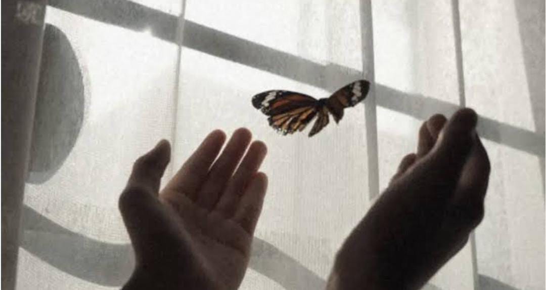 kode alam kupu kupu masuk rumah